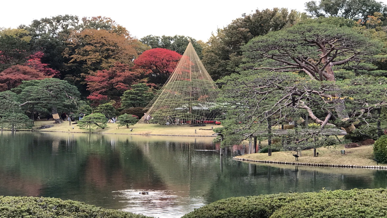アンチ