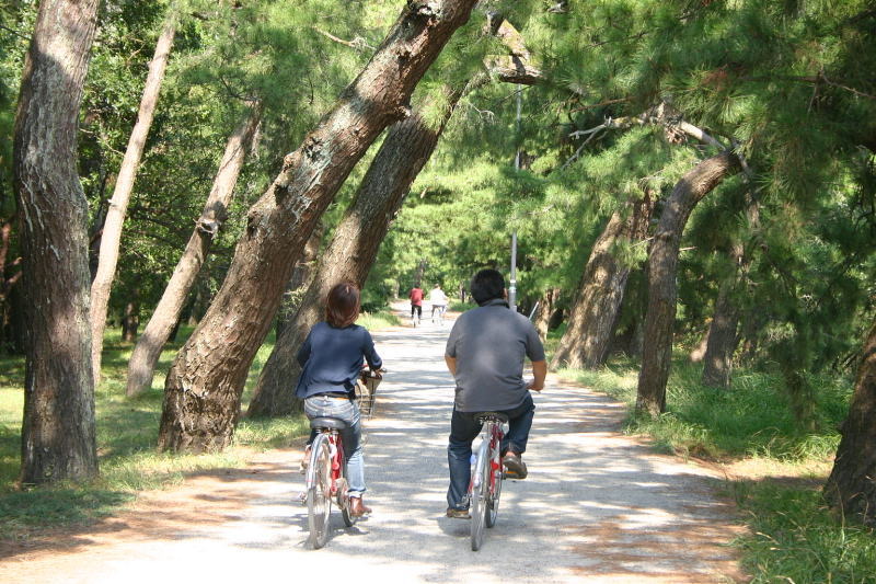 写真1