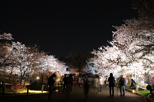 京都